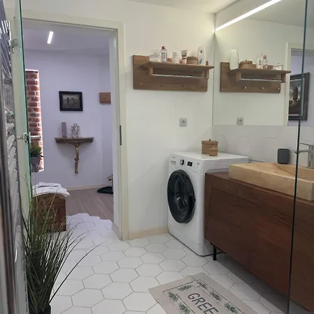 公寓 Casa Tepes 布拉索夫
