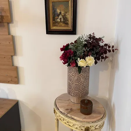 公寓 Casa Tepes 布拉索夫